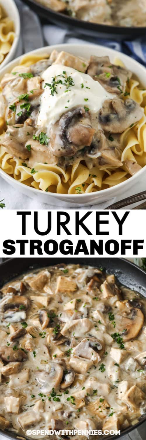 főzni Herbed Turkey Stroganoff lemezes étellel és címmel