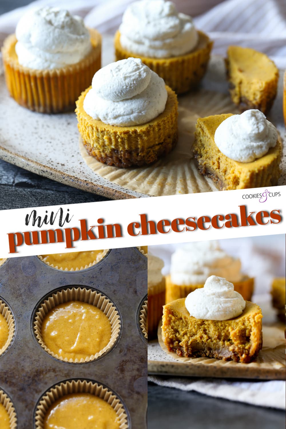 mini pumpkin cheesecakes pinterest image