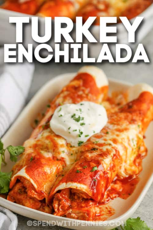 Leftover Turkey Enchiladas on a plate with writing