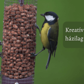 kreatív madáretető házilag