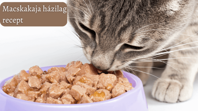macskakaja házilag recept 