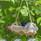 madáretető házilag pet palackból